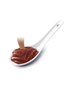 Crème de caramel au chocolat